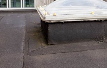disadvantages of Na Pairceanan flat roofs
